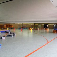 1600-img_0132.jpg