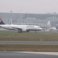 img_8294.jpg