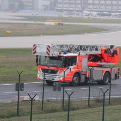 img_8295.jpg