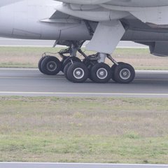 img_8316.jpg