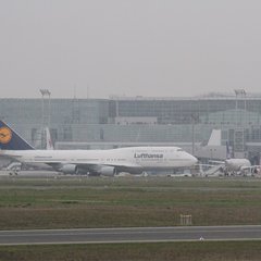 img_8337.jpg