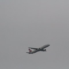 img_8364.jpg