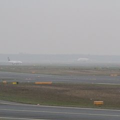 img_8371.jpg