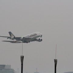 img_8398.jpg