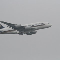 img_8417.jpg