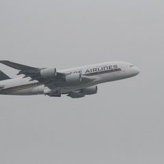 img_8418.jpg