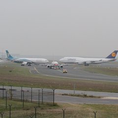 img_8446.jpg