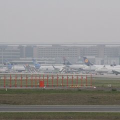 img_8515.jpg