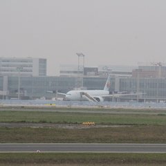 img_8520.jpg