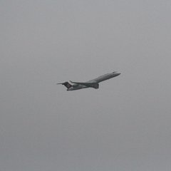 img_8531.jpg