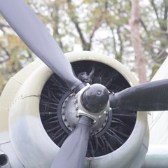 img_8581.jpg
