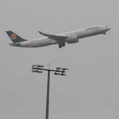img_8685.jpg