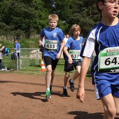 1600-img_4776.jpg