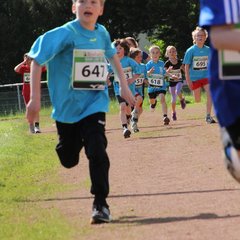 1600-img_4791.jpg