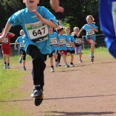 1600-img_4792.jpg
