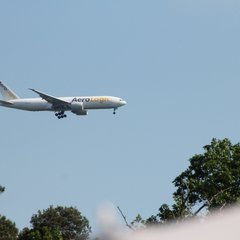 1600-img_4818.jpg
