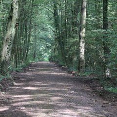 img_2727.jpg