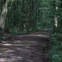 img_2729.jpg
