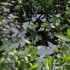 img_2767.jpg