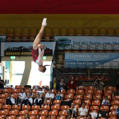 800-img_1060.jpg