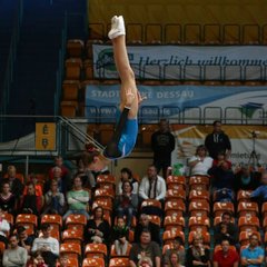 800-img_1260.jpg