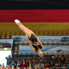 800-img_1369.jpg