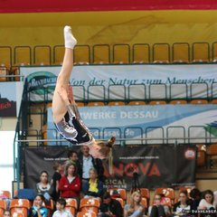 800-img_1528.jpg