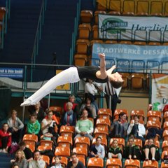 800-img_1668.jpg