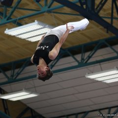 800-img_2339.jpg