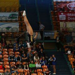img_1243.jpg