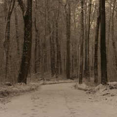img_5161.jpg