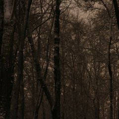 img_5167.jpg