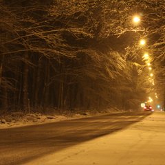 img_5172.jpg