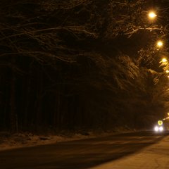 img_5175.jpg