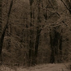 img_5177.jpg