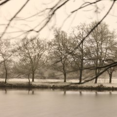 img_5178.jpg