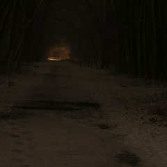 img_5195.jpg