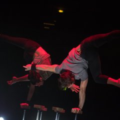 TIM_0086.JPG