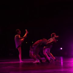 TIM_0495.JPG
