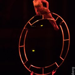 TIM_0995.JPG