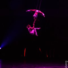 TIM_1442.JPG