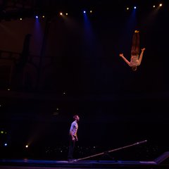 TIM_9344.JPG