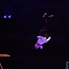 TIM_9979.JPG