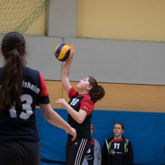 TIM_7462.JPG