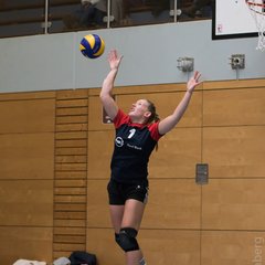 TIM_7529.JPG