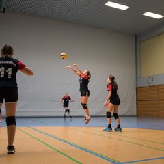 TIM_7589.JPG