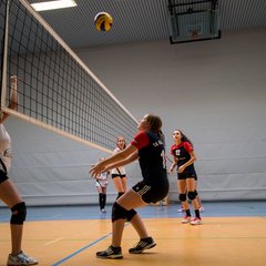 TIM_7591.JPG