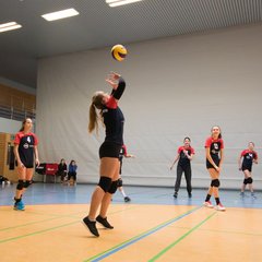 TIM_7702.JPG