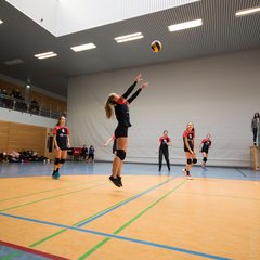 TIM_7704.JPG