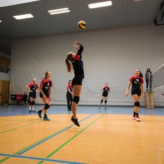 TIM_7708.JPG